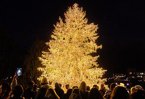 Image of holiday tree lighting 2023.